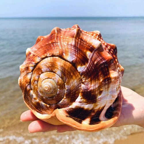 14cm mediterranean style - 12-14cm,
