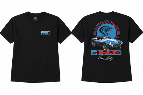 Brisco brands ford 1965 shelby - brisco,