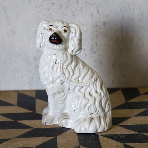 Antique staffordshire spaniel - antique,
