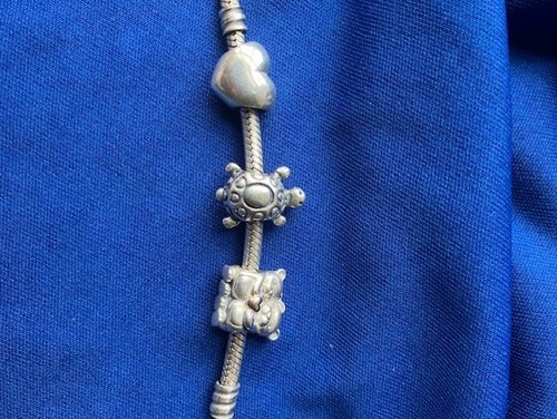 Genuine pandora charms bundle - genuine,