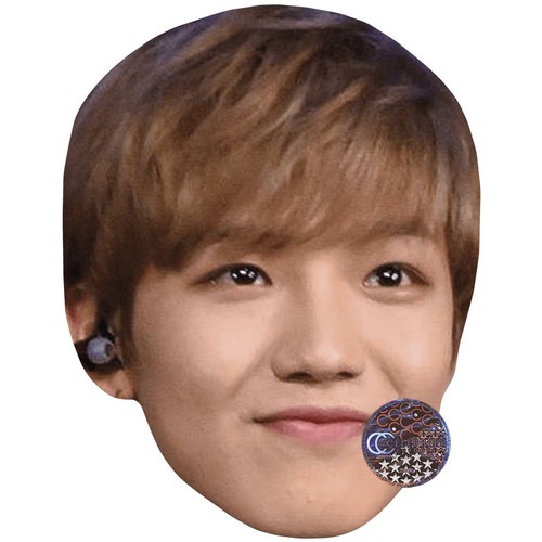 Youngmin celebrity mask - celebrity,