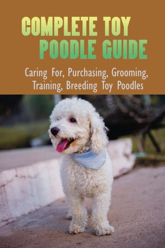 Complete toy poodle - complete,