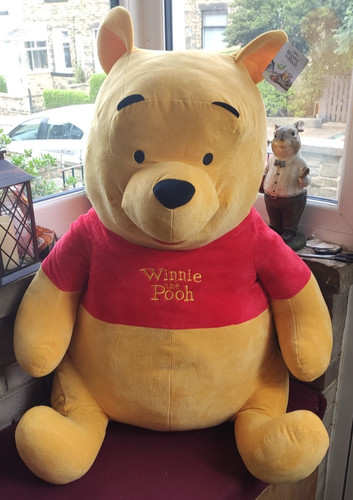 Large winnie the pooh plush - the,