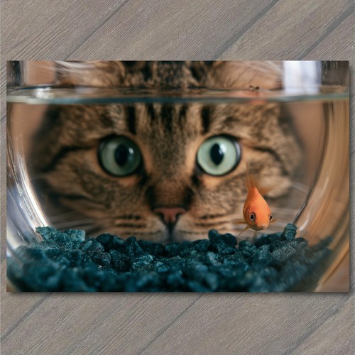 Art print cat goldfish bowl - print,