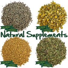 Horse Herbs Natural Feed Supplements 1kg, Horse Care, Equine, Horse Health