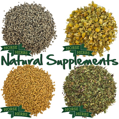 Horse herbs natural feed - natural,