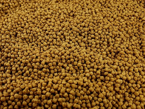 Complete tropical fish food - tropical,