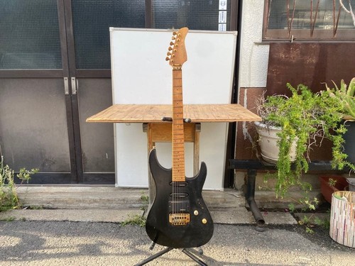 Fernandes dinky model electric - model,
