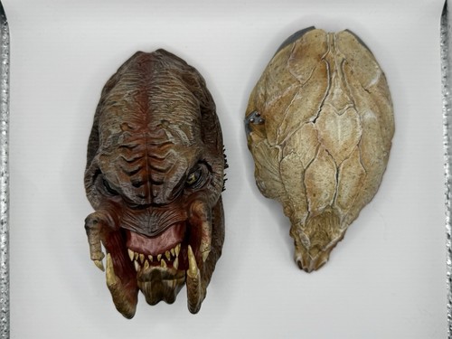 Predator prey magnet removable - predator,