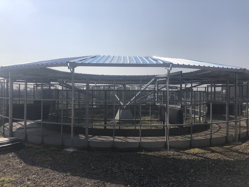 Horse walker roof