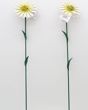 Fountasia Hand Crafted Set of