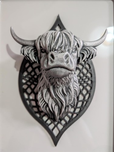 Highland cow wall - -, 3d