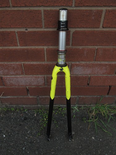 Dolan dual carbon forks - dual, 20cm