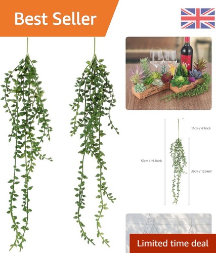 Realistic hanging succulent - realistic,