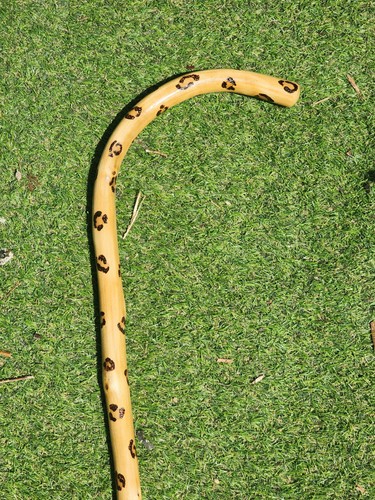 Leopard print wooden - leopard,