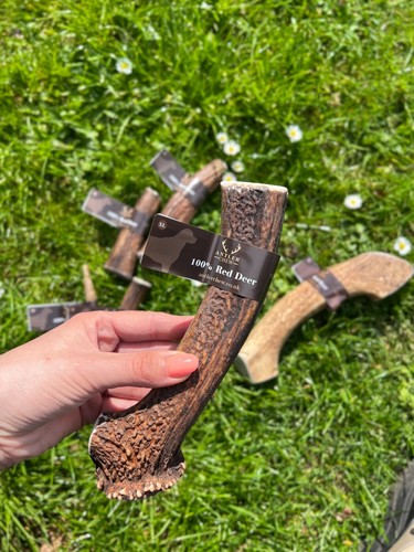 Antler chews for dogs - antler, dogs-puppy
