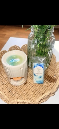 Luxury snow fairy - snow, lush