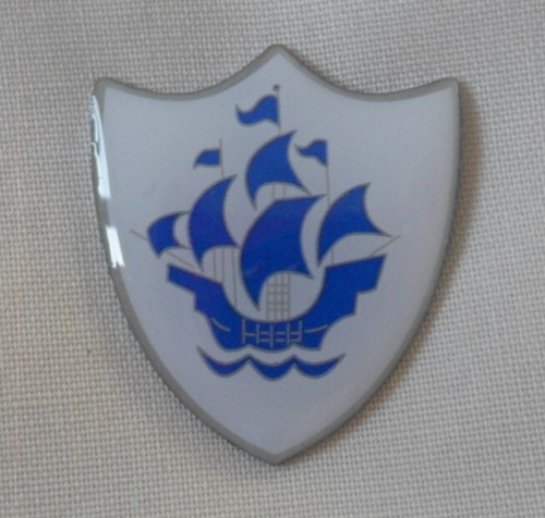 Blue peter pin badge novelty - peter,