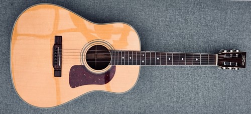 Washburn d34s slot - washburn,