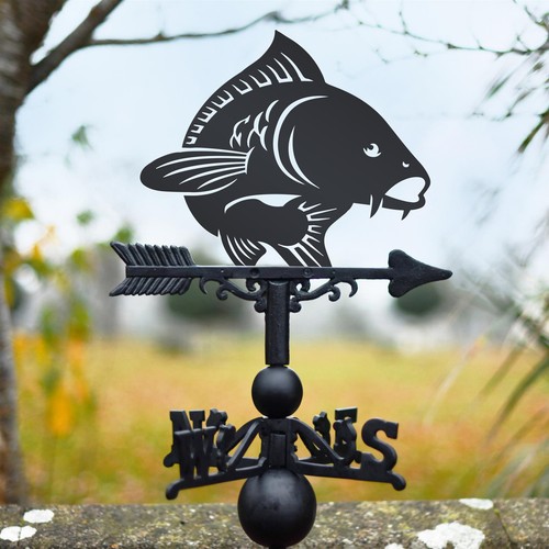 Cast iron koi - koi, fish