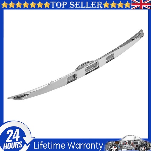 Tailgate boot strip - tailgate,