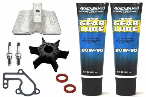 Service kit 15hp - service,