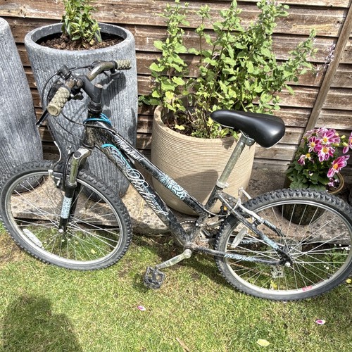 Raleigh womens kids mountain - womens/kids,