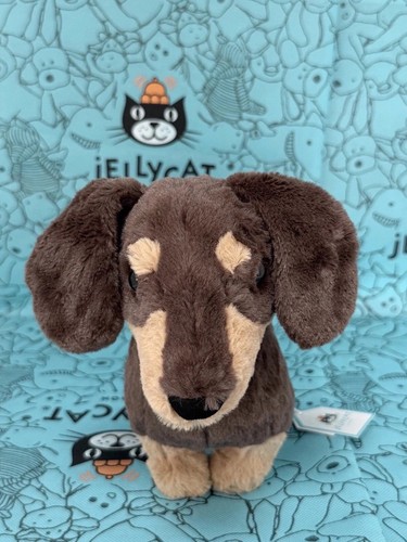 New jellycat dachshund - dachshund,
