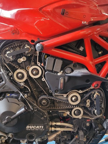 Ducati 88765 1623 - timing, belt