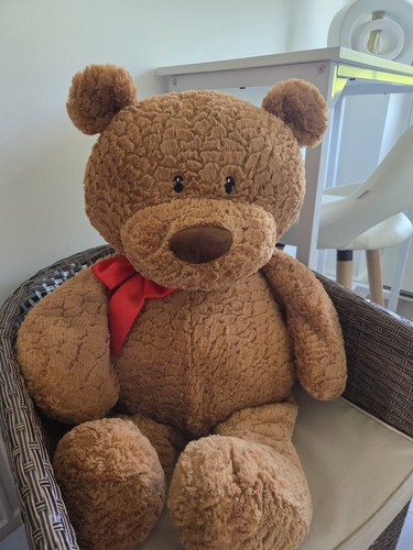 Giant clinton teddy - clinton's,