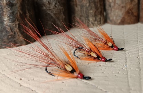 Reilly s shrimp - x, salmon