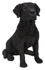 Vivid Arts Black Labrador Dog