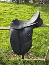 Isabell Werth Wintec Dtessage