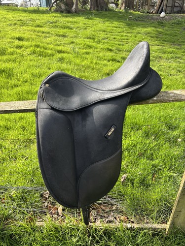 Isabell werth wintec dtessage - werth,