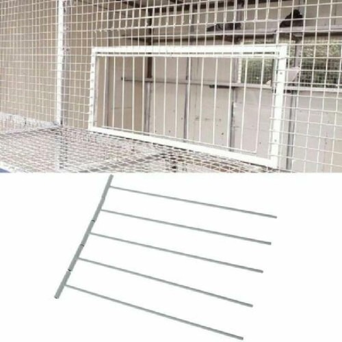 5pcs bird racing pigeon - bird,
