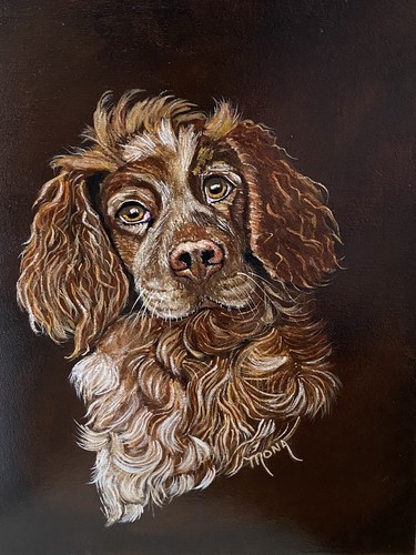 Dog spaniel hunting - spaniel,, hunting,