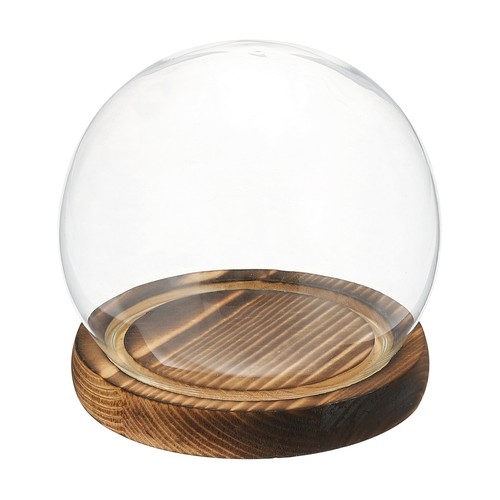 Round cloche glass - round, dome,