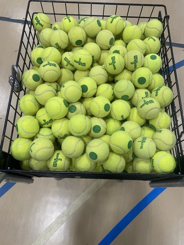 50wilson green dot tennis - 50wilson,