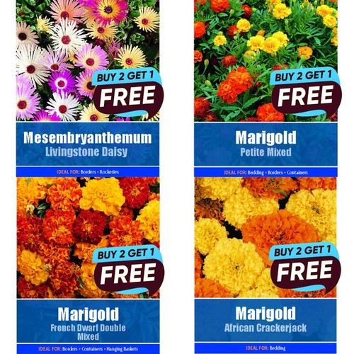 Flower seeds grow your own - seeds,