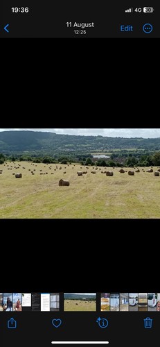 Round bale haylage good - round,