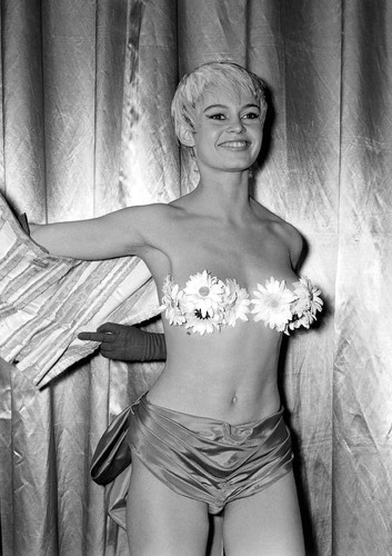Brigitte bardot monochrome - brigitte,