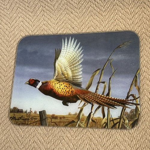 Vintage pheasant glass - glass, worktop