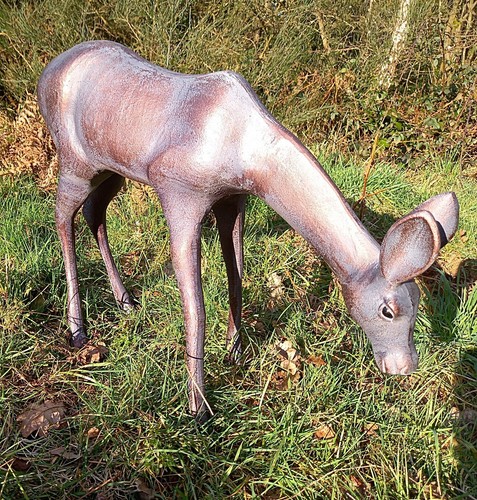 Large grazing doe deer - grazing,