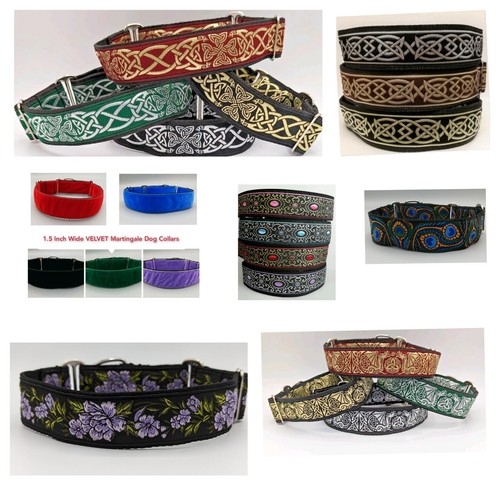 Martingale dog collar - dog,