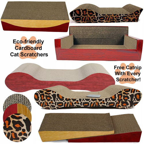 Cat kitten cardboard - cat,