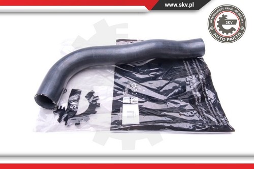 Esen skv 43skv205 - 43skv205, charger