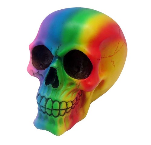 Skull rainbow colours - skull,