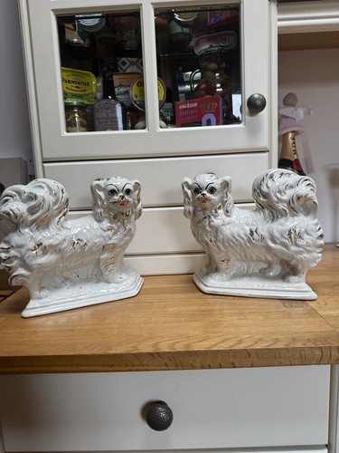 Pair king charles pekingese - pair,
