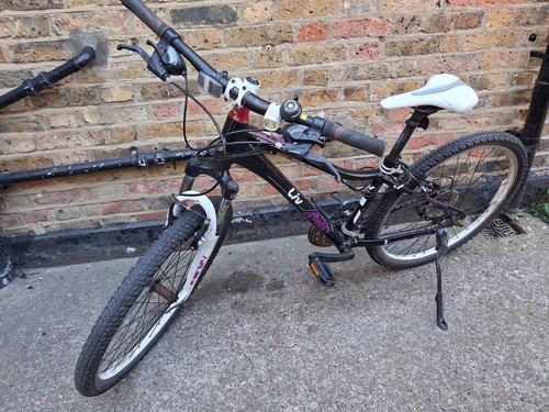 Giant liv ladies - 21spd, front