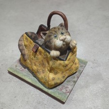 Comic & Curious Cats, "In The